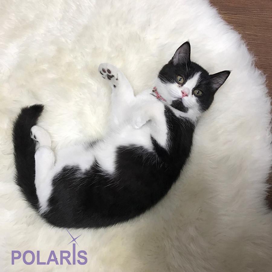 Polaris Guesthouse Garosugil Сеул Экстерьер фото
